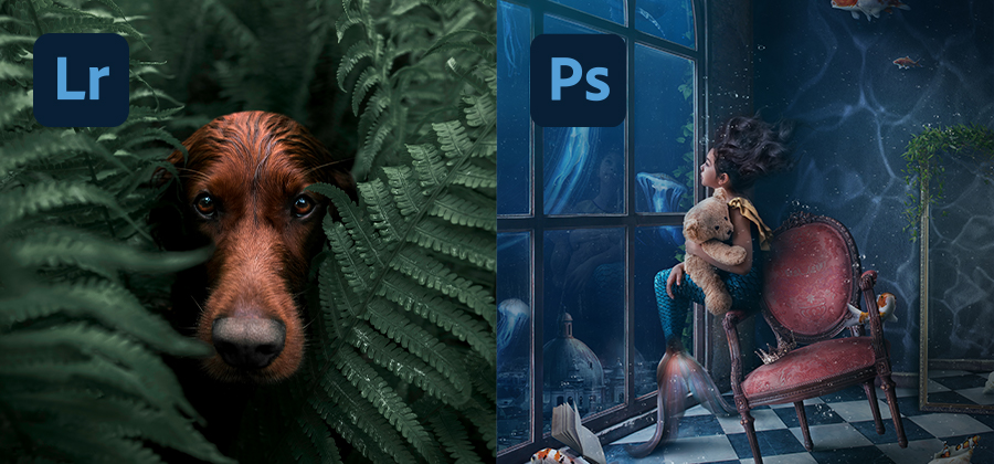 LightroomとPhotoshopの違いとは？ソフト選定ガイド | Adobe