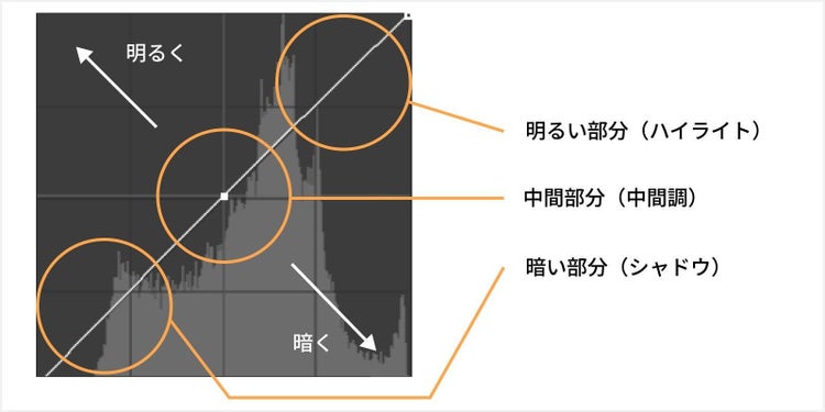 トーンカーブ上の線を動かす位置や方向によって、画像の仕上がりや印象が変わる