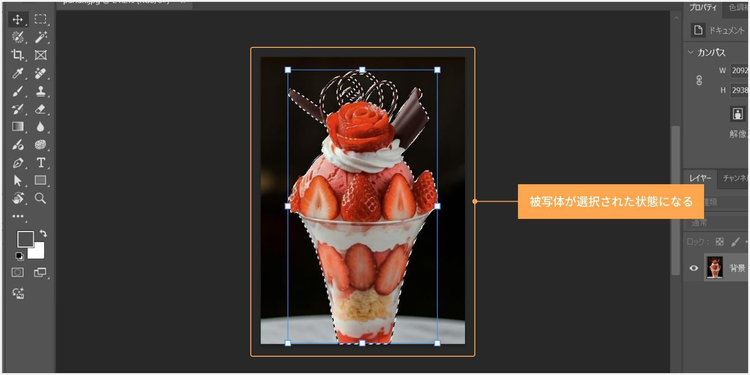 被写体が選択された状態になる