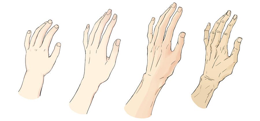 魅力的な手と指のイラストの描き方：男性・女性・老人・子供の描き分け