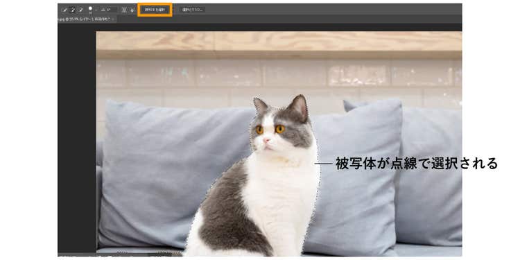 「被写体を選択」をクリックすると、自動で被写体が選択される