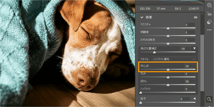 Photoshopで、ビネット効果を付与する際の設定項目（中心点）を示した図
