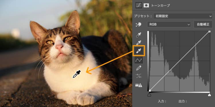 一番下の白いスポイトをクリックし、画像内のやや黄味がかった白色の部分でクリックする