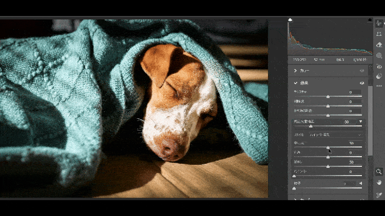 Photoshopの編集画面にて、中心点のスライドバーを左右に動かした場合