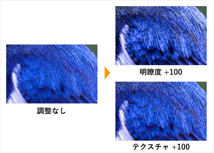 「明瞭度」と「テクスチャ」を調整した比較図