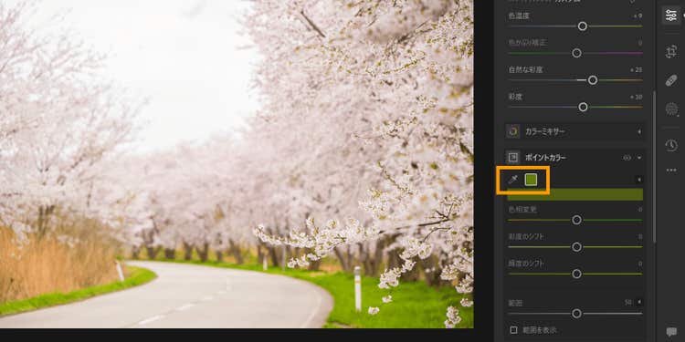 「ポイントカラー」機能を使えば部分的に鮮やかさの調整が可能