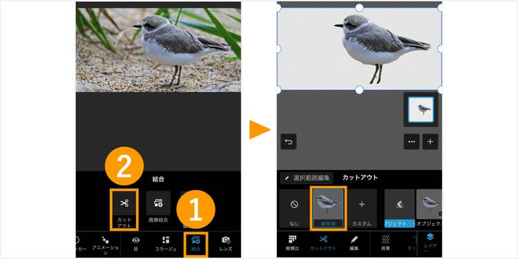 Photoshop Expressのカットアウト機能の使用手順を紹介する解説画像