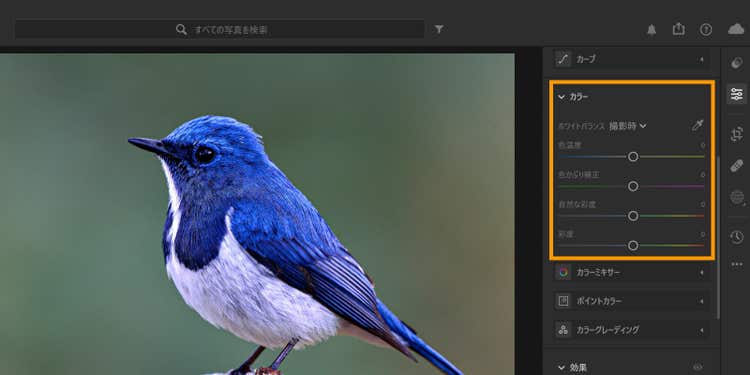 Adobe Lightroomの画面右側の「カラー」から色味の調整が可能