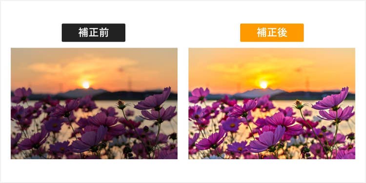 夕日の逆光で全体的に暗くなってしまったコスモスの元画像と、全体を明るくした補正後のコスモスの画像との比較
