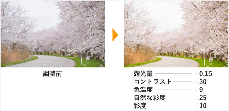 桜の画像をレタッチした例