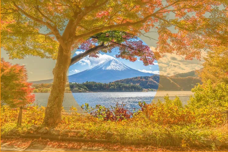 補助線付きの「額縁構図」の例