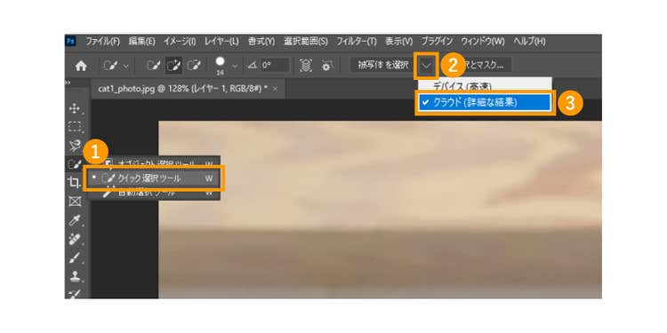 「クイック選択ツール」を選んだ状態で、「クラウド（詳細な結果）」にチェックを入れる