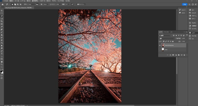 写真の加工やデザイン作成で特に活用できる「Adobe Photoshop」