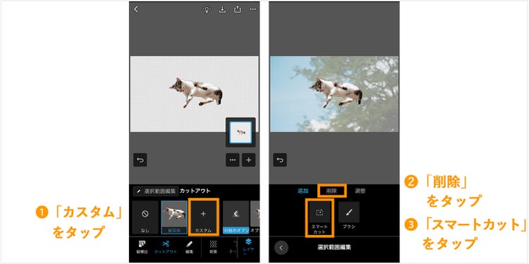 PhotoshopExpressで写真をカットアウトする02