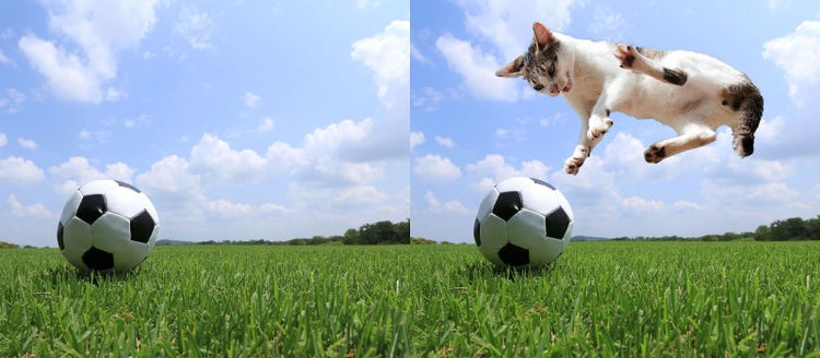 写真合成がカンタン！2枚の写真を1枚に合成できるおすすめアプリと使い方