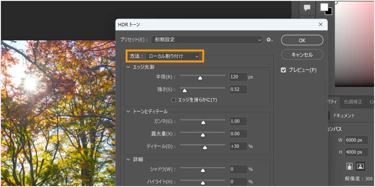 Adobe Photoshopの「HDRトーン」で細かな調整をする場合の設定方法を解説した画像