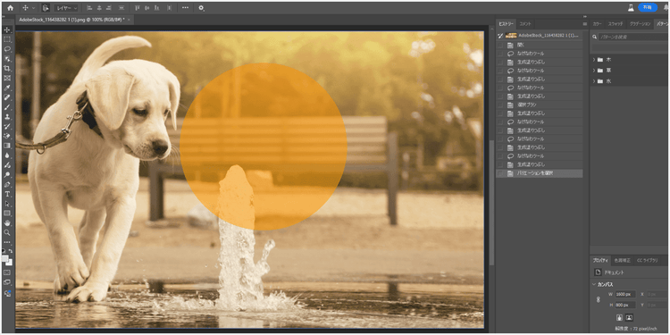 背景にぼやけた状態で写り込むベンチに座った女性が消えたことを示す図