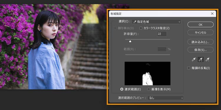 Photoshopにて、色域指定のダイアログボックスが表示された画面