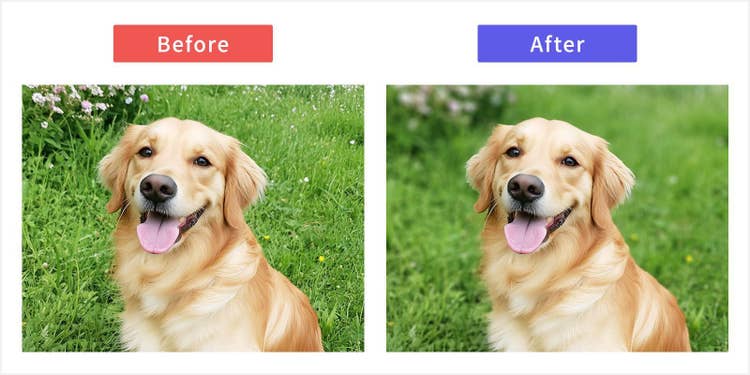 背景をぼかし、奥行きを表現する加工の前後比較