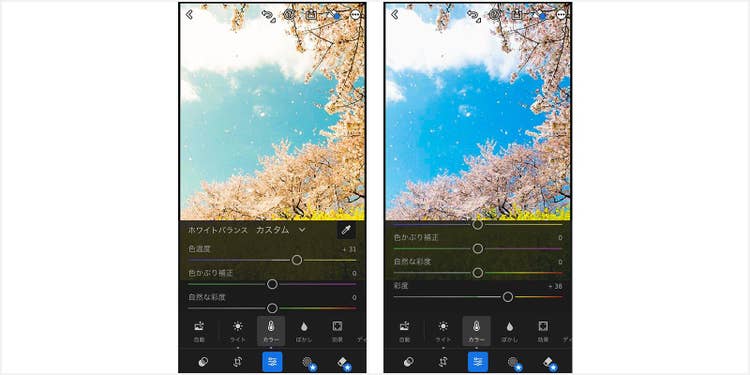 カラー機能の加工比較