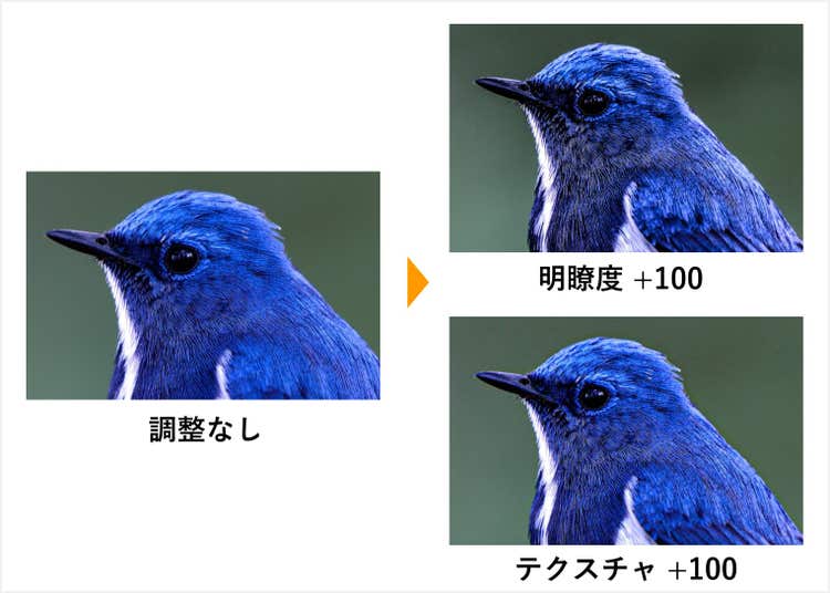 「明瞭度」と「テクスチャ」を調整した比較図