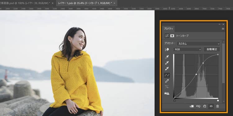 トーンカーブのプロパティパネル