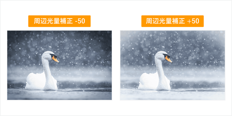 降りしきる雪の中で泳ぐ白鳥の写真を対象に、周辺光量補正を－50した場合と、周辺光量補正を＋50した場合のビネット効果の差を示す画像