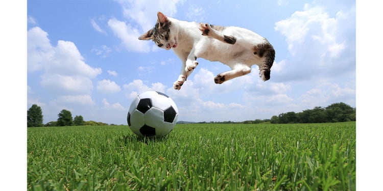 PhotoshopExpressで作成した合成写真