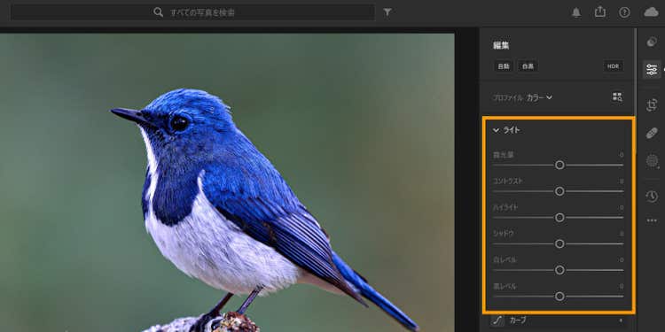 Adobe Lightroomの画面右側の「ライト」から明るさの調整が可能