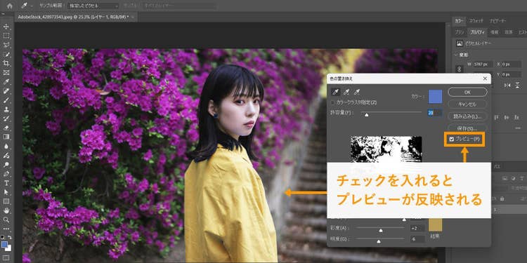 ダイアログの右側の「プレビュー」にチェックを入れた画面