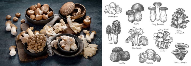 Adobe Stock｜素材サンプル（9月向け）