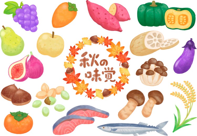 Adobe Stock｜素材サンプル（10月向け）