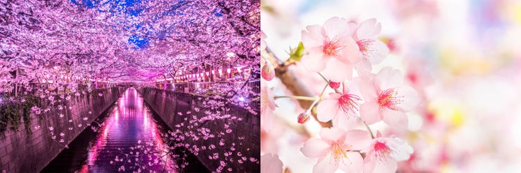 Adobe Stock｜素材サンプル（2月向け）