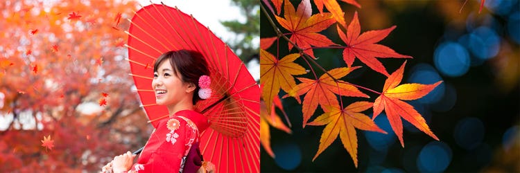 Adobe Stock｜素材サンプル（10月向け）