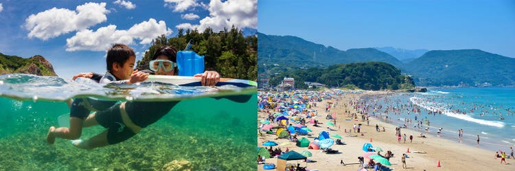 Adobe Stock｜素材サンプル（7月向け）