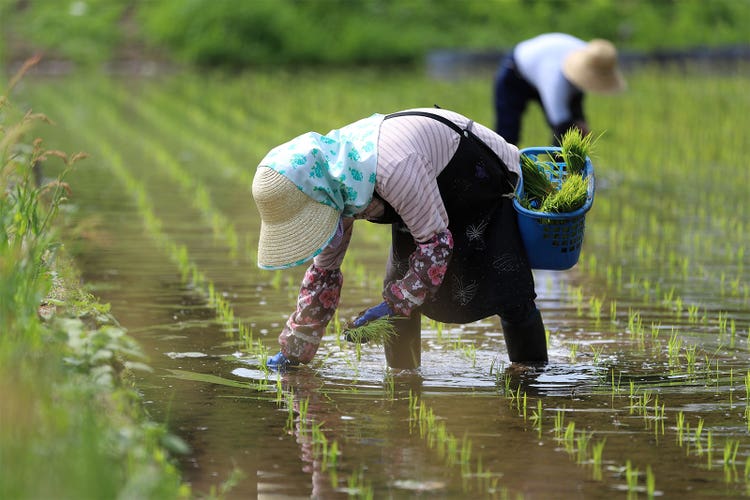 Adobe Stock｜素材サンプル（5月向け）