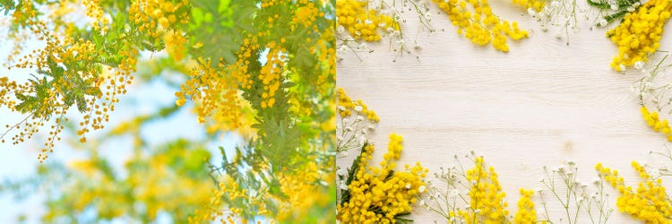 Adobe Stock｜素材サンプル（3月向け）