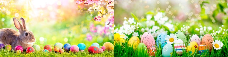 Adobe Stock｜素材サンプル（4月向け）