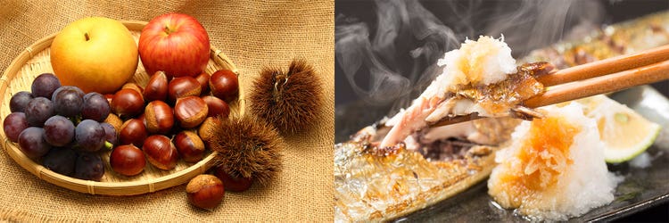 Adobe Stock｜素材サンプル（9月向け）