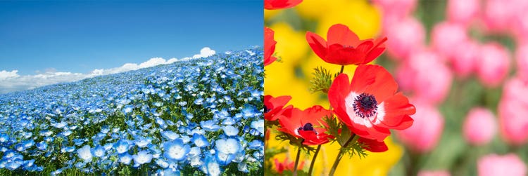 Adobe Stock｜素材サンプル（4月向け）