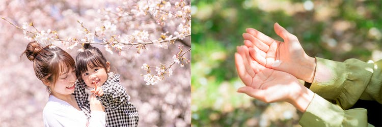 Adobe Stock｜素材サンプル（3月向け）