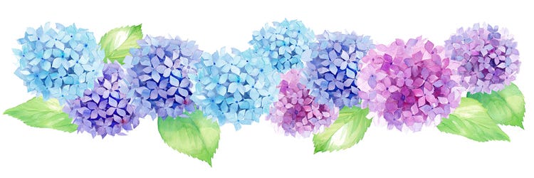 Adobe Stock｜素材サンプル（6月向け）