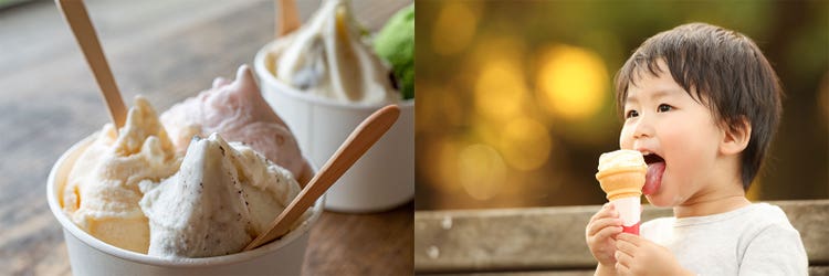 Adobe Stock｜素材サンプル（8月向け）