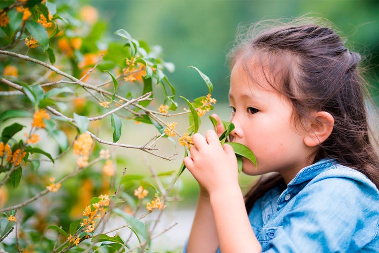 Adobe Stock｜素材サンプル（9月向け）
