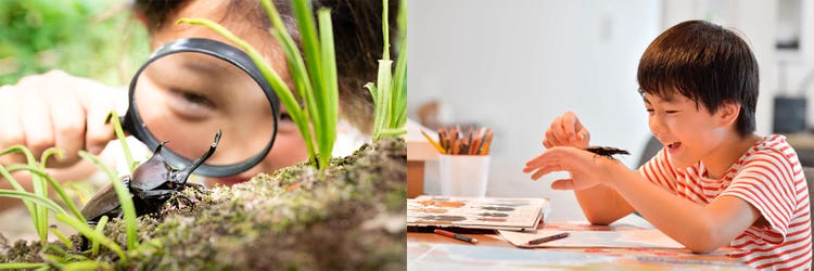 Adobe Stock｜素材サンプル（7月向け）