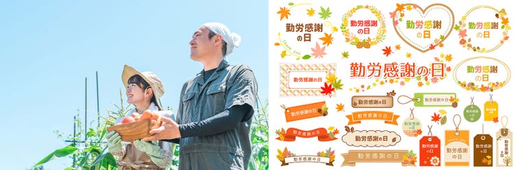 Adobe Stock｜素材サンプル（11月向け）