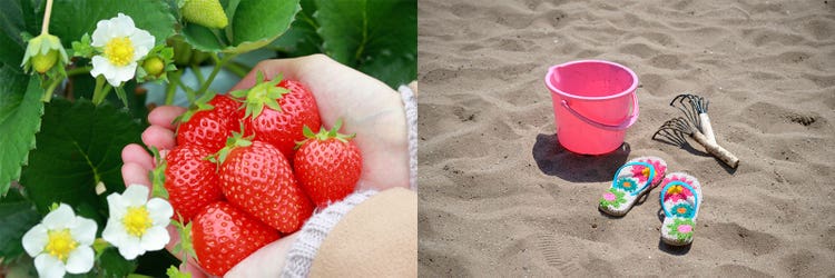 Adobe Stock｜素材サンプル（4月向け）