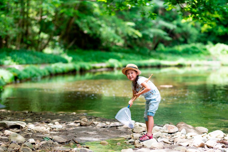 Adobe Stock｜素材サンプル（7月向け）