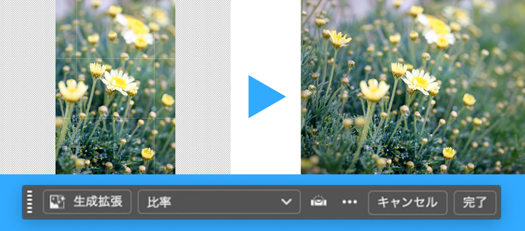 Adobe Photoshopの生成拡張機能を使い、縦長写真の左右の余白を自然な花畑の風景で補完して横長に拡張した例。