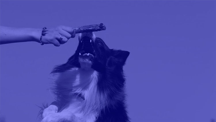 速度を変えてユニークな動きを作ろう